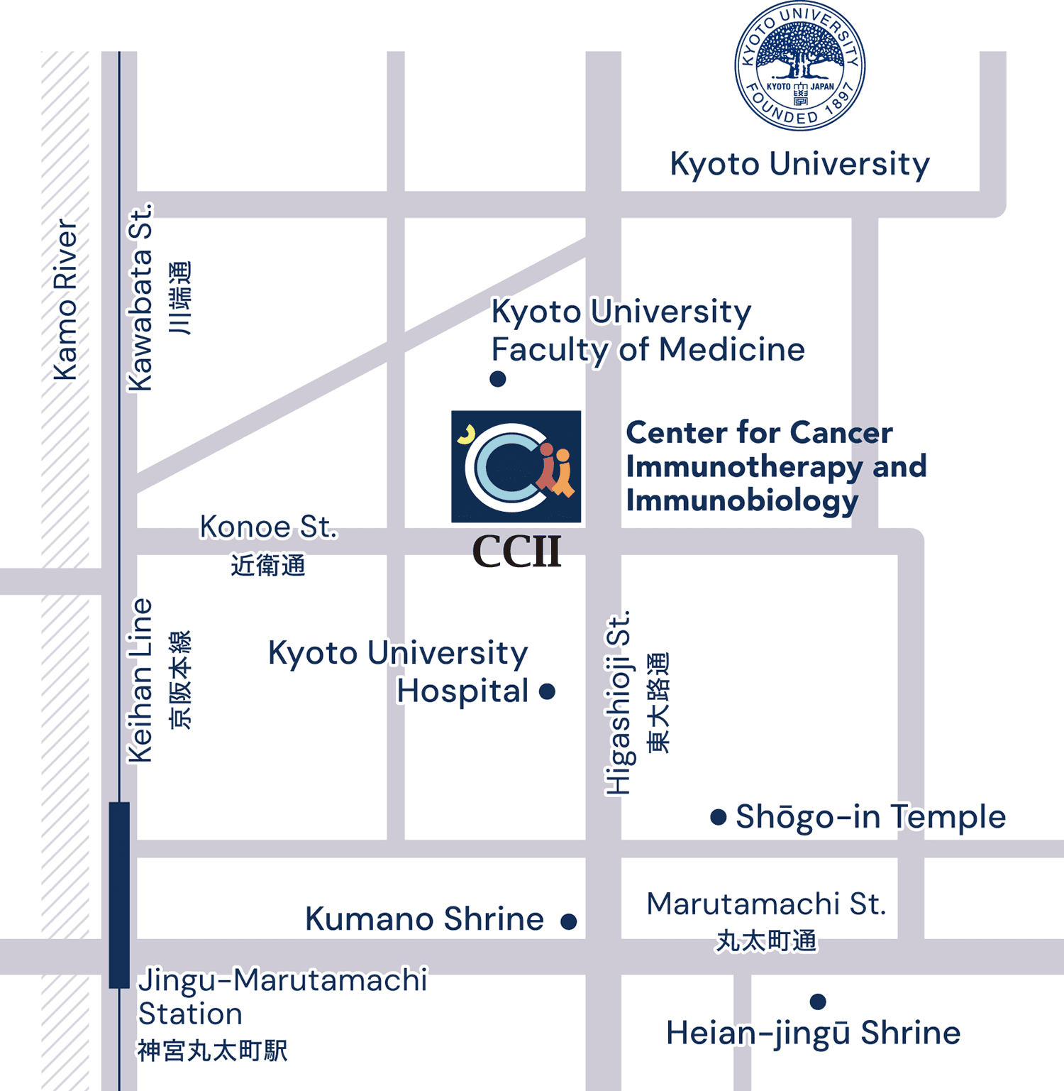 Center for Cancer Immunotherapy and Immunobiology